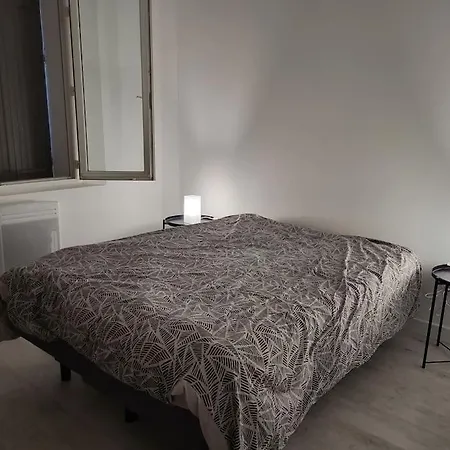 Rdj Centre Gare Et Plages Apartment *